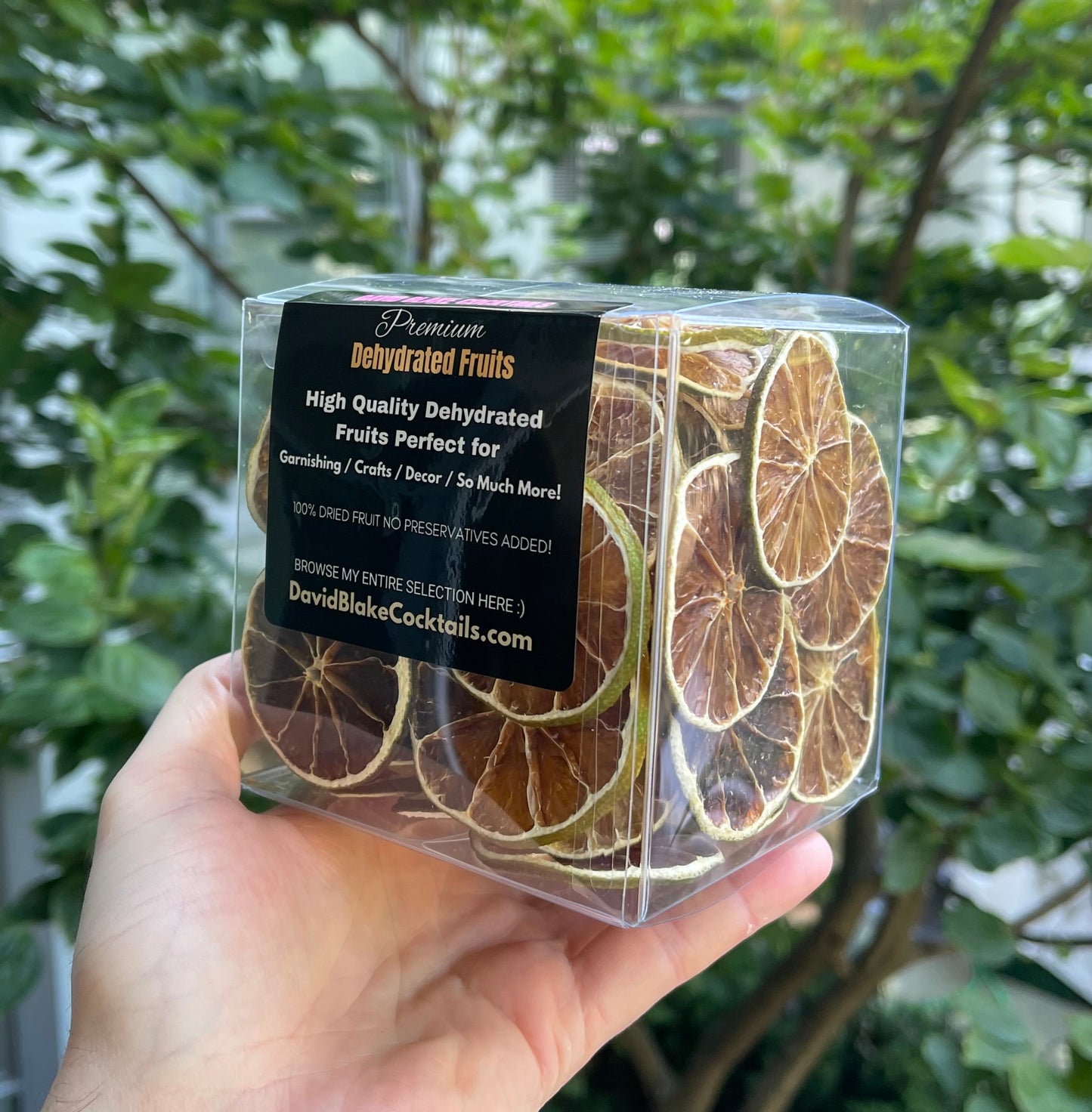 200+ Piece Medium Citrus Box Set