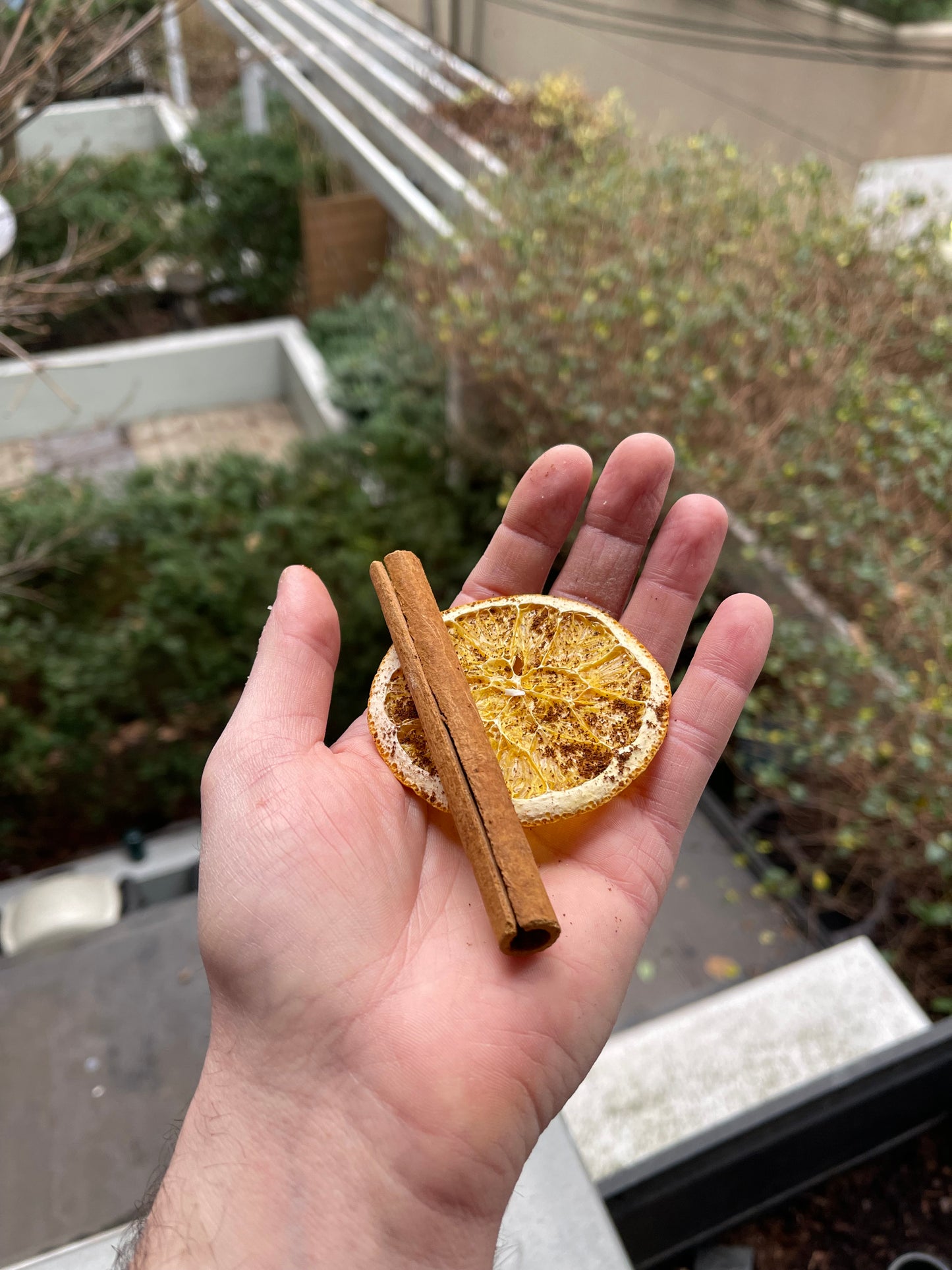 40+ Piece Small Spiced Orange Box