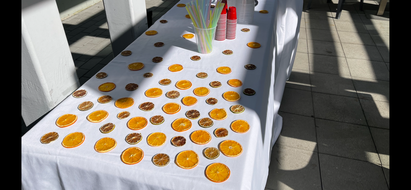 40+ Piece Dried Mixed Citrus Box