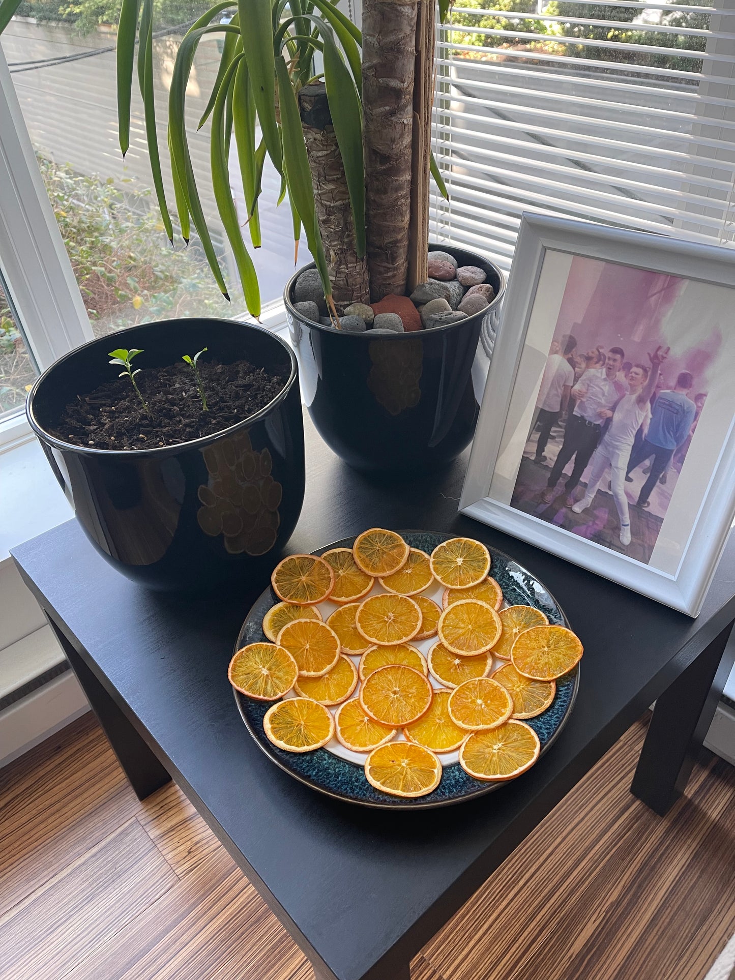25+ Piece Dried Orange Box