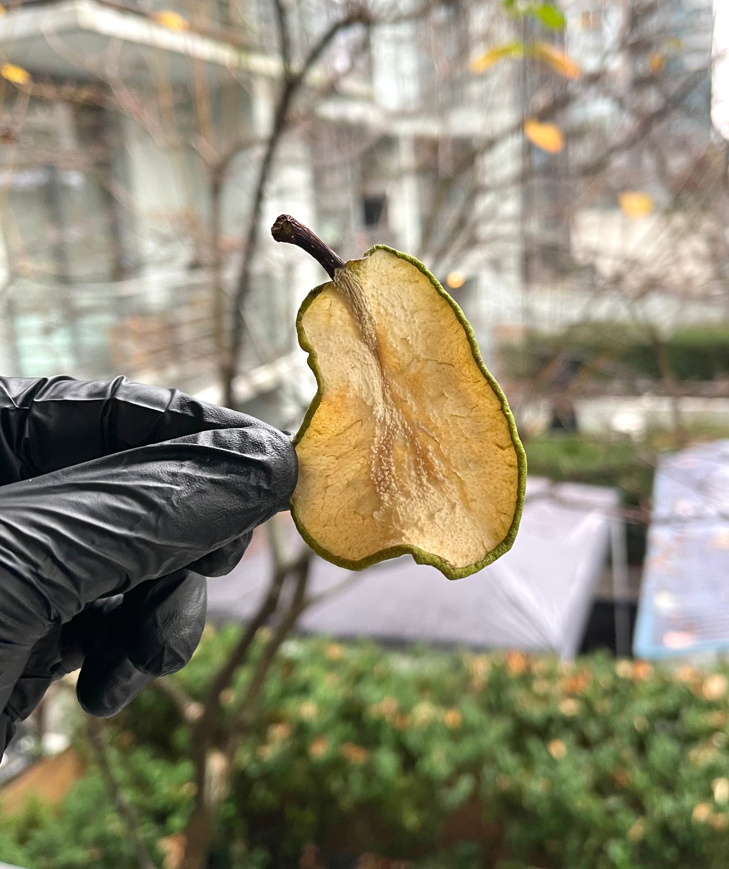 Custom Pear Box | 30+ Pieces