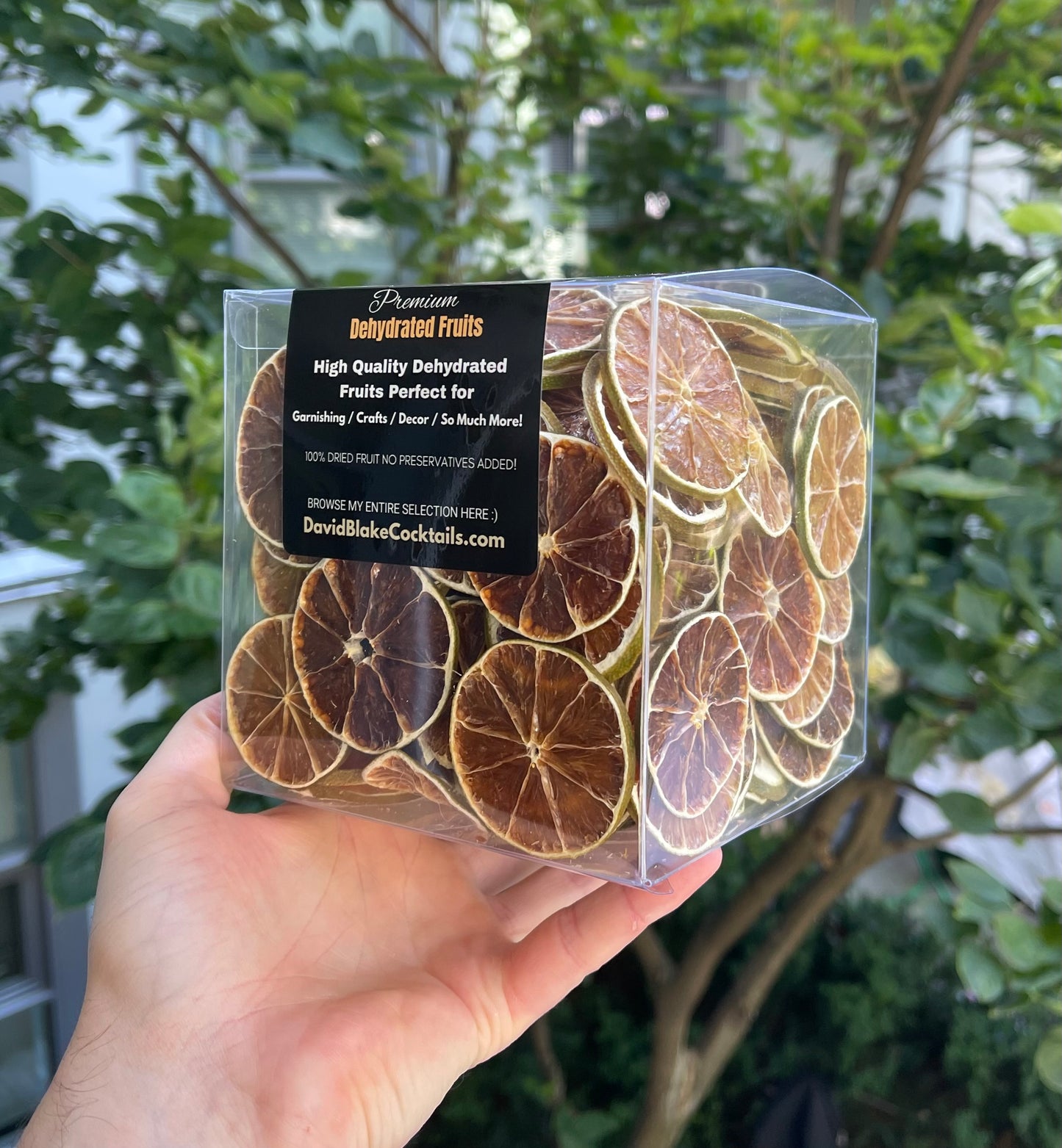 500+ Piece Large Citrus Box Set