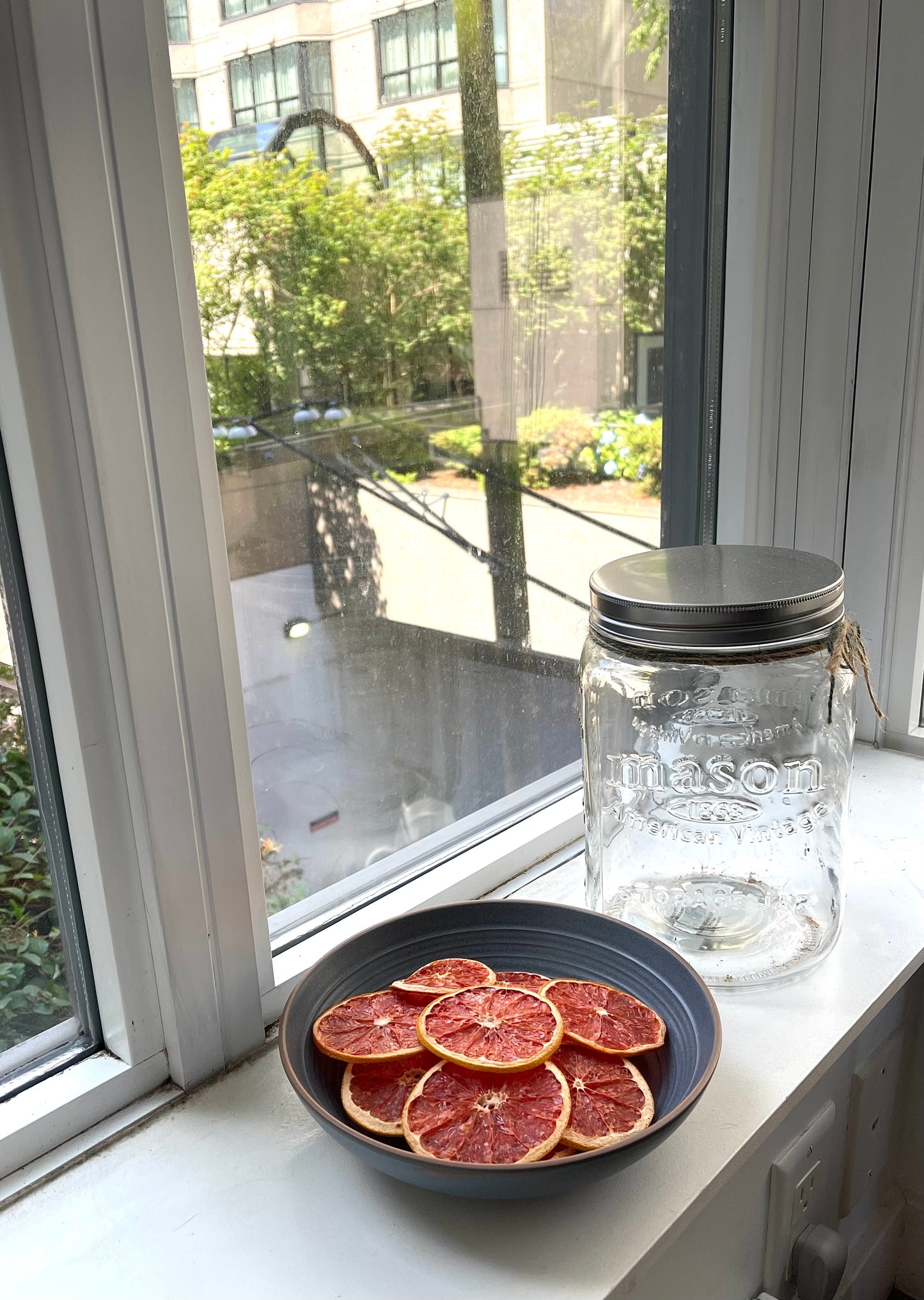 Bulk Dehydrated Grapefruit Wheels