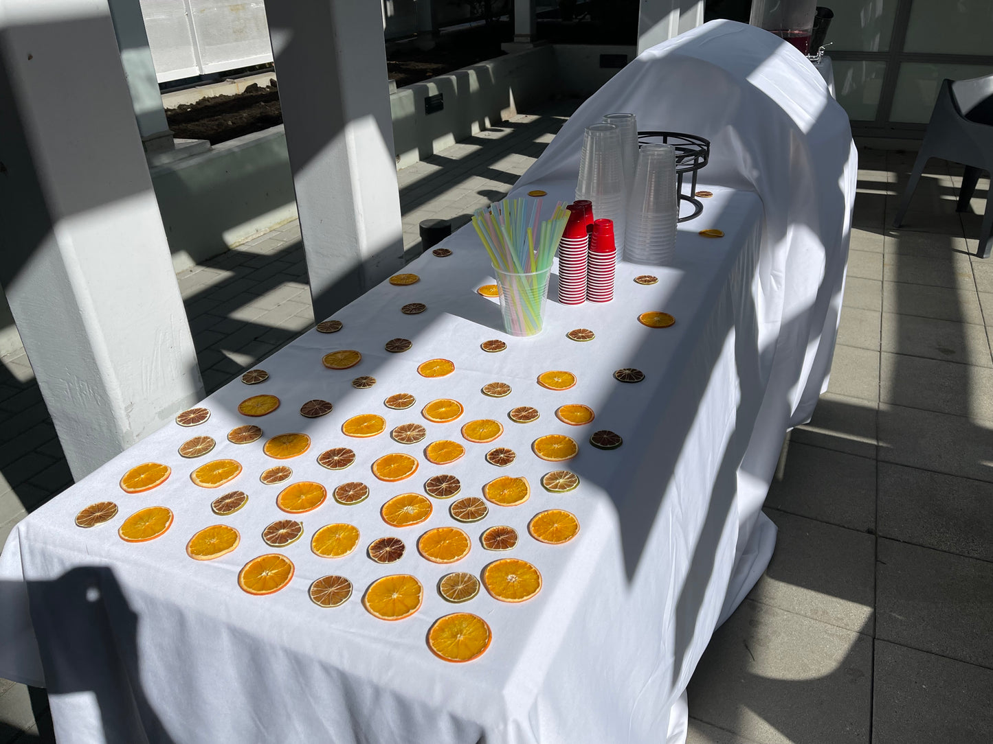 100+ Piece Large Citrus Bag