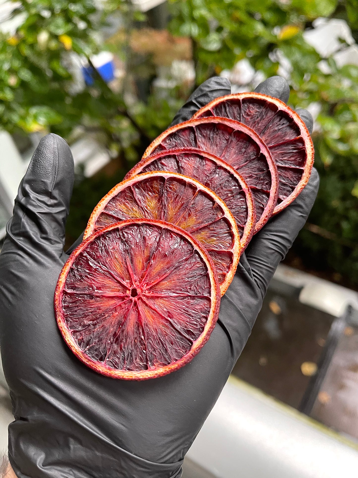 30+ Piece Dehydrated Blood Orange Bag