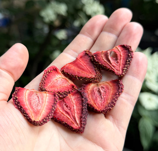 Wholesale Dehydrated Strawberry | 500 pc / 1000 pc / 5000 pc