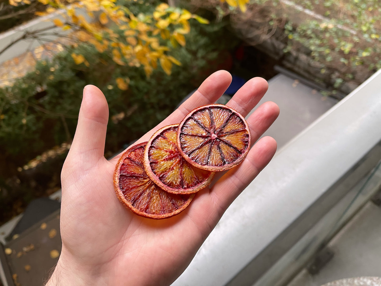 Bulk Dehydrated Blood Orange