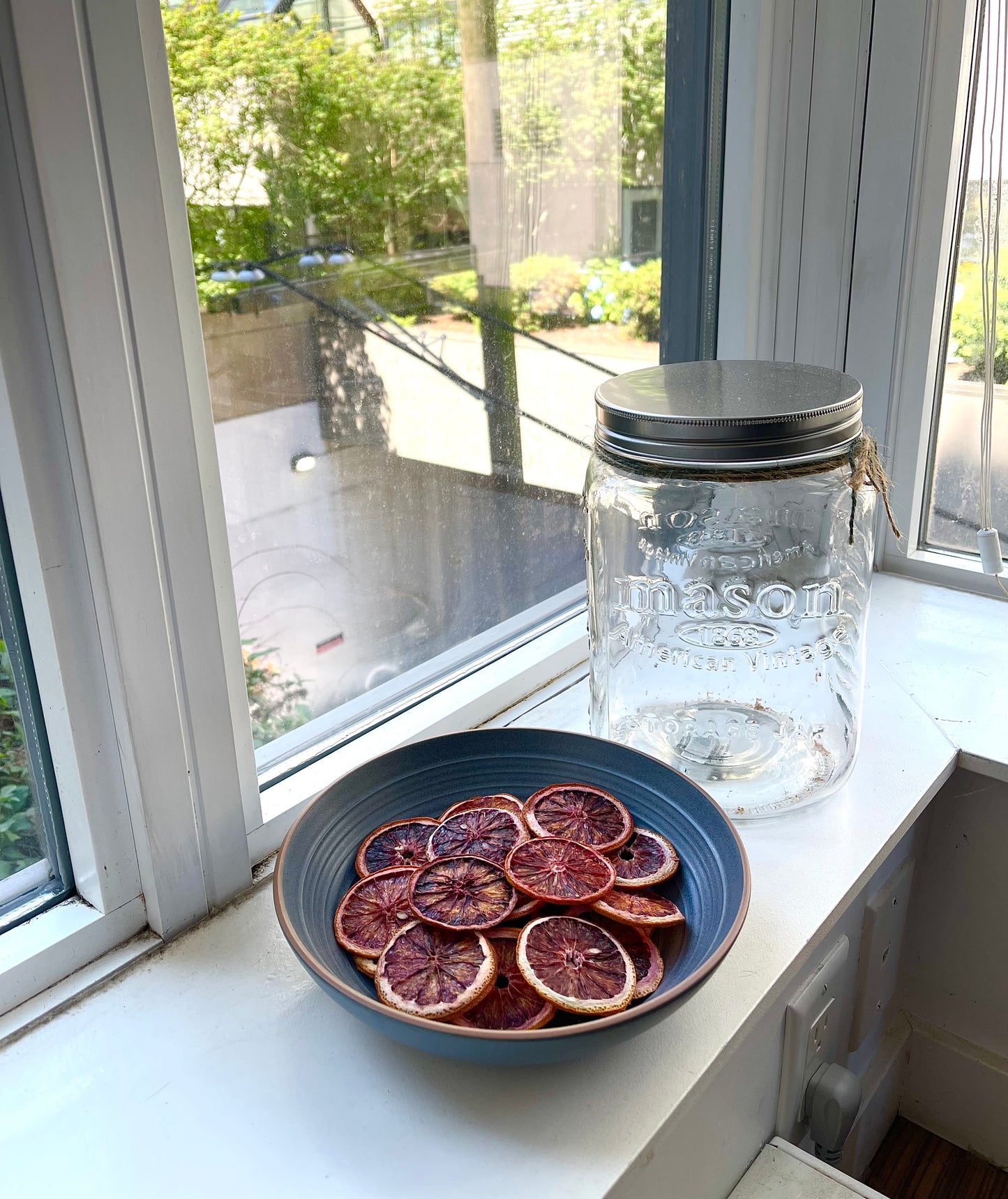 Bulk Dehydrated Blood Orange