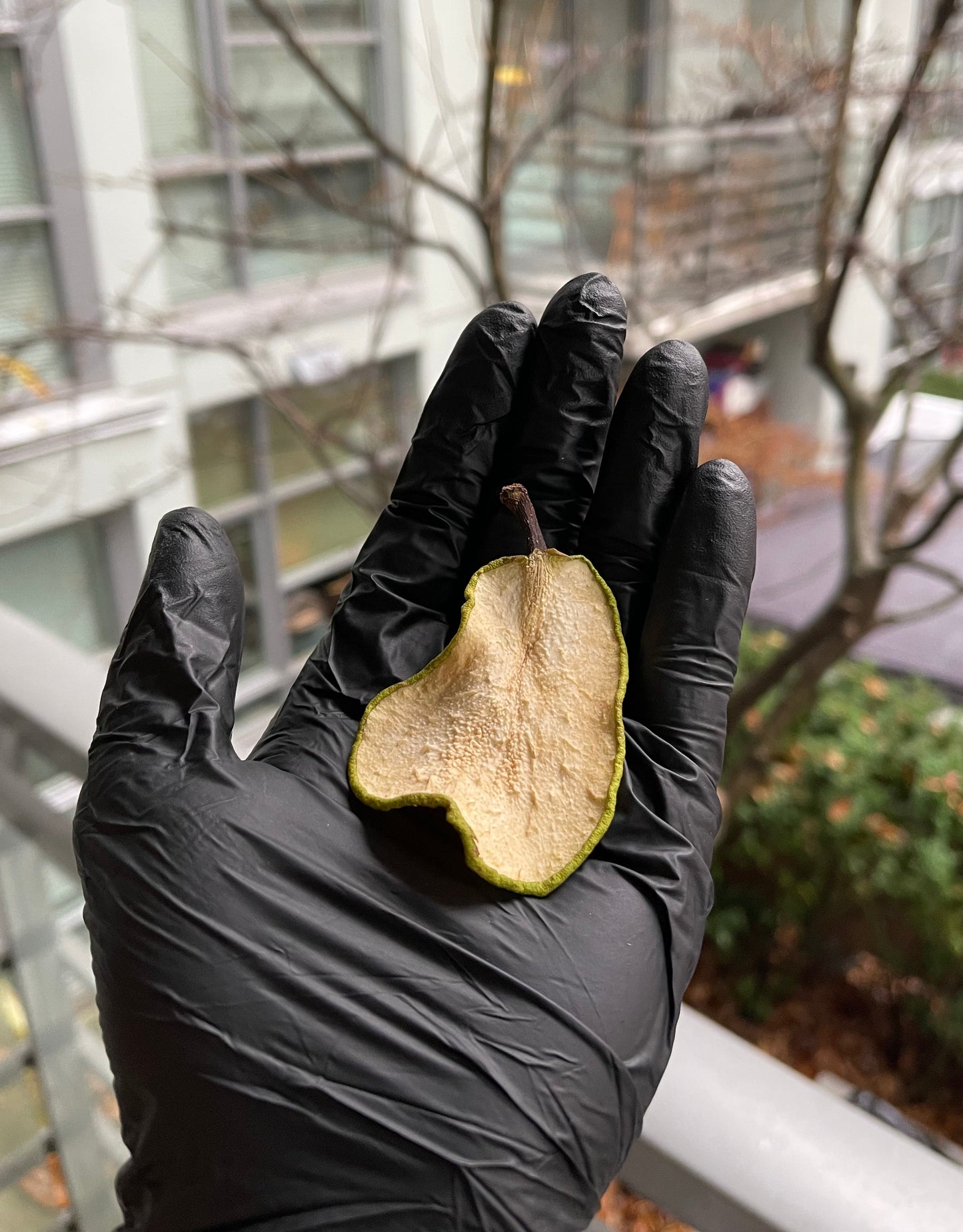 Custom Pear Box | 30+ Pieces