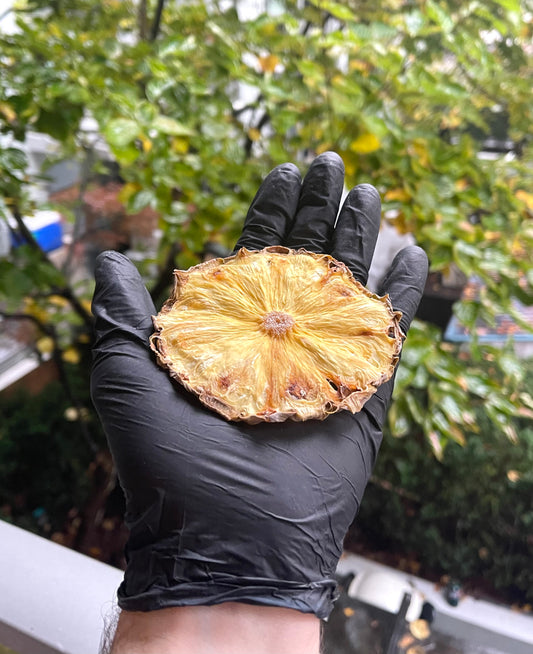 Wholesale Dehydrated Full Pineapple Wheel | 50 pc / 150 pc / 2 kg