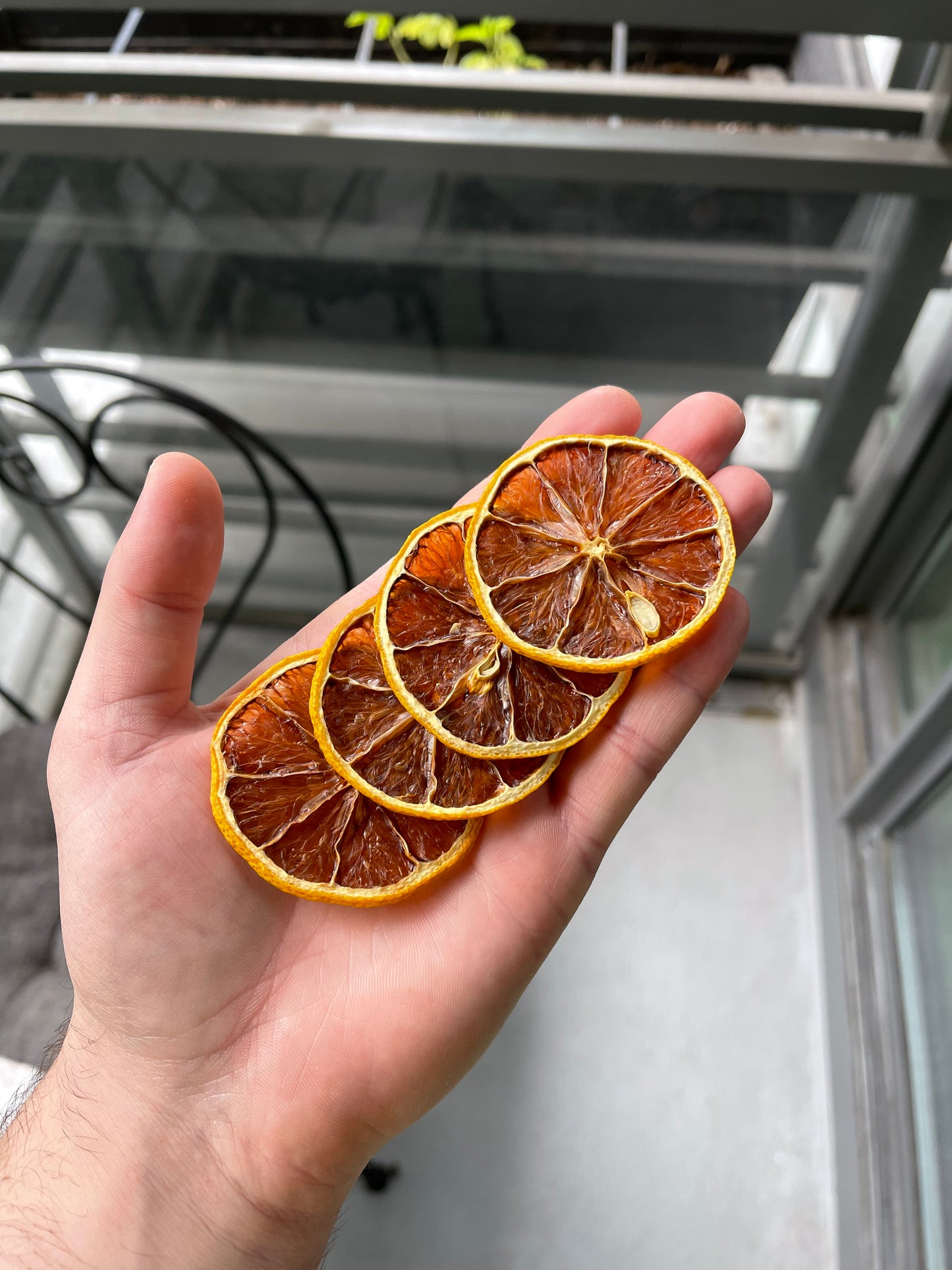 Small Citrus Box