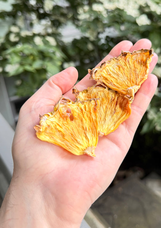Wholesale Dehydrated Pineapple Quarter Pieces | 500 pc / 2 kg / 5 kg
