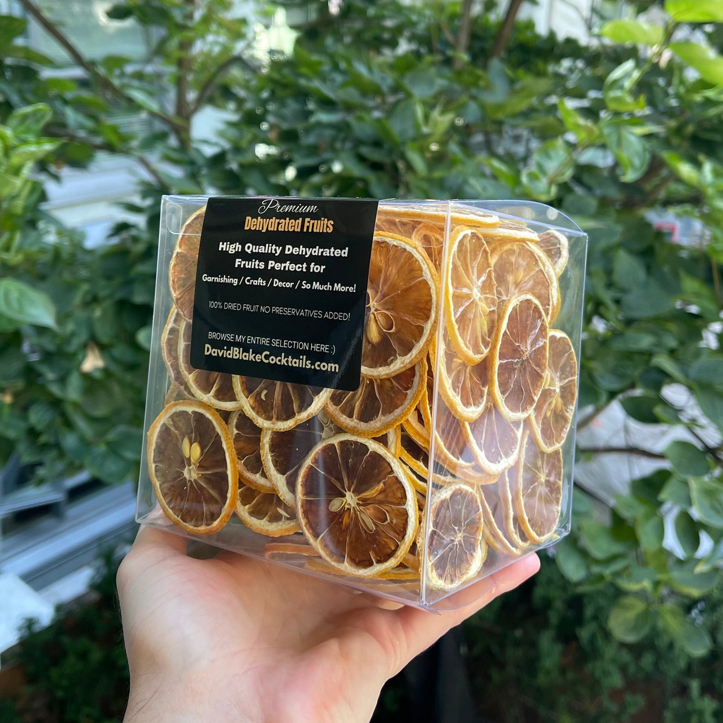 150+ Piece Large Lemon Box